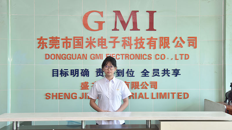 DONGGUAN GMI EIECTRONICS CO., LTD.